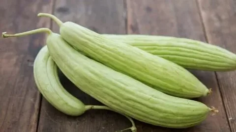 تصویر 2 از قیمت خیار چنبر سبز + خرید باور نکردنی